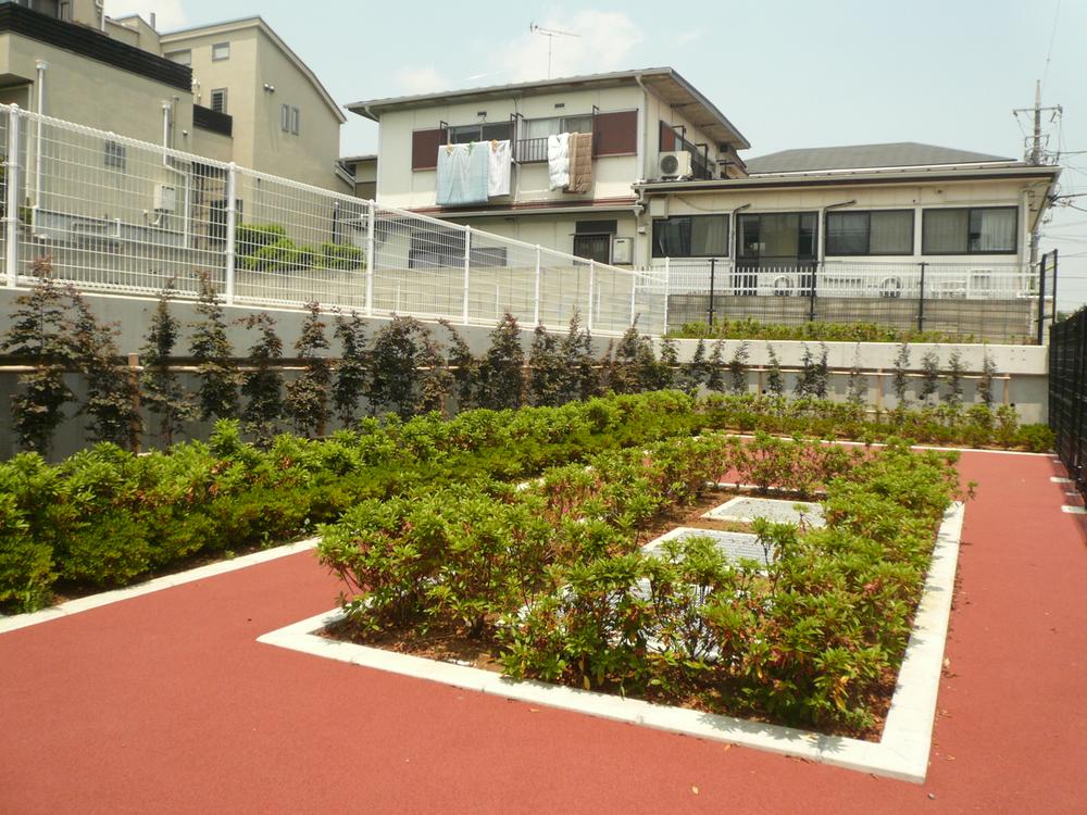 Other local. Local (September 2013) Shooting