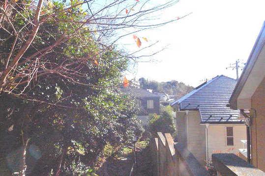 Local land photo. Southwest adjacent land boundary There is a height difference, Not at all worried about the line of sight