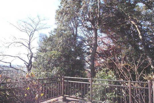 View photos from the local. View from the existing building second floor balcony