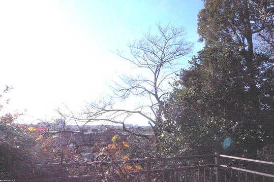 View photos from the local. View from the balcony