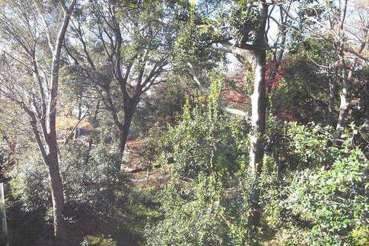 Other local. Kaminoge natural park from the site Because there is a difference in height, Privacy is protected