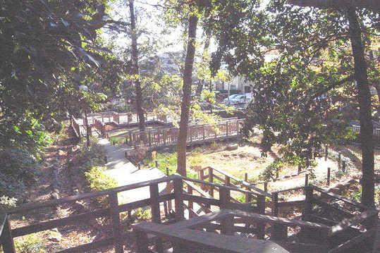 park. 40m originally so was the garden of a single individual of the favorite planting until Kaminoge Nature Park