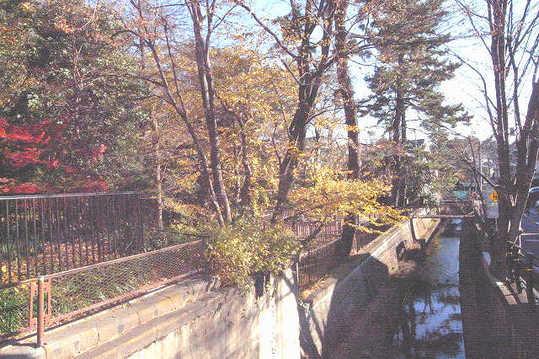 Other Environmental Photo. Hygrophyte have planted such as irises taking advantage of the 30m spring water until Marukogawa