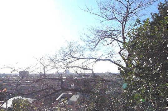 View photos from the local. You get a view of one of the best among the residential area of Kaminoge