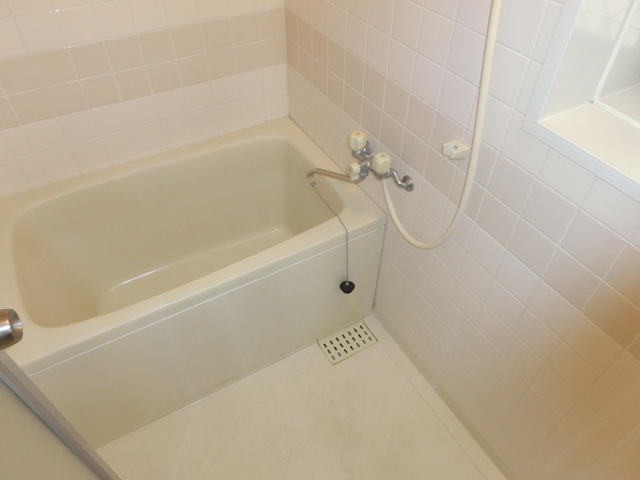 Bath. Put loose because the bus toilet by