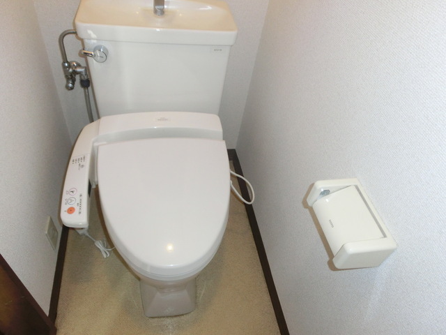 Toilet. Beautiful toilet