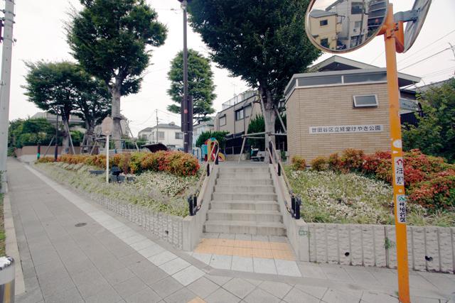 Other. Kyodo zelkova park