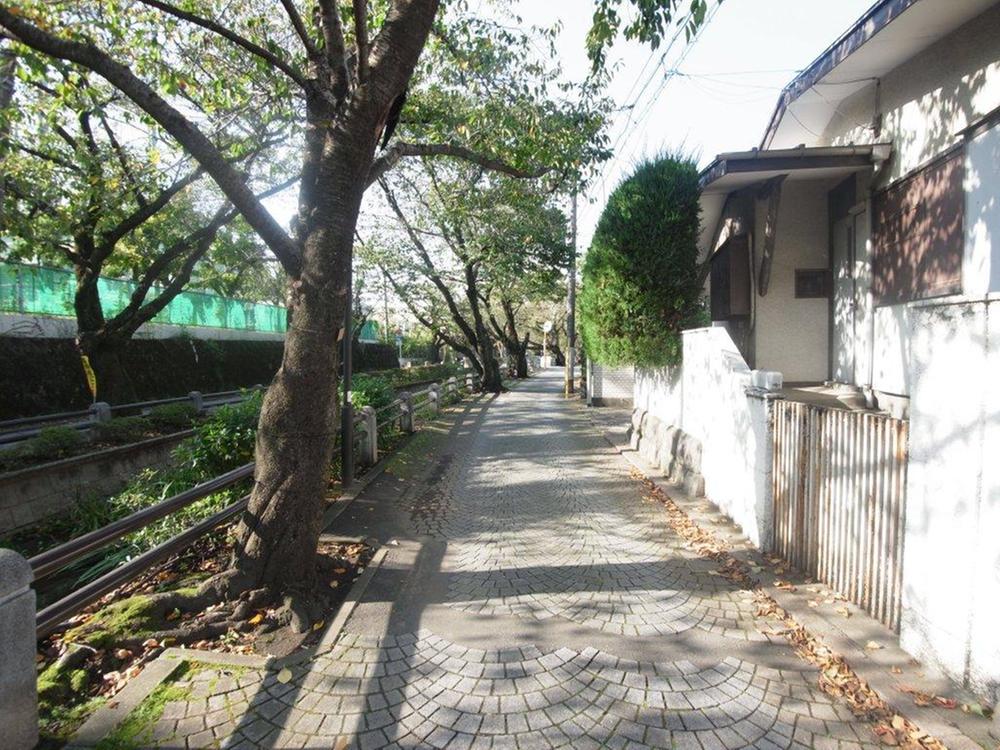 Local photos, including front road. Local (10 May 2013) Shooting