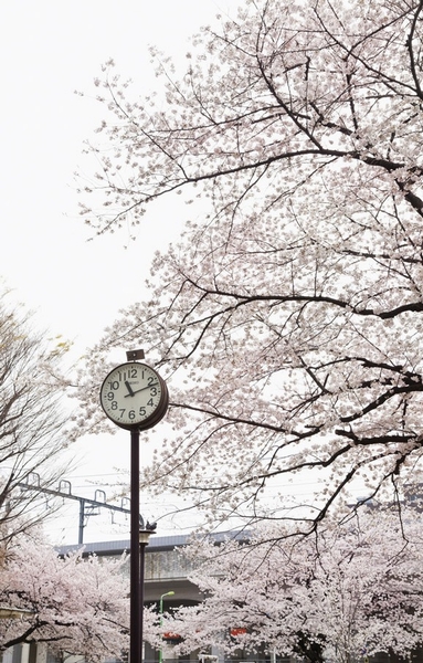 Features of the building. "Stone Buddha park" (about than local 360m / A 5-minute walk)