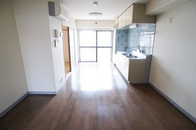 Living and room. Open living ☆