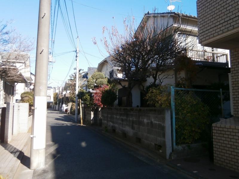 Local land photo. Local (12 May 2013) Shooting