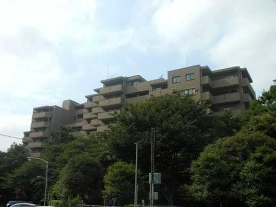 Local appearance photo. appearance