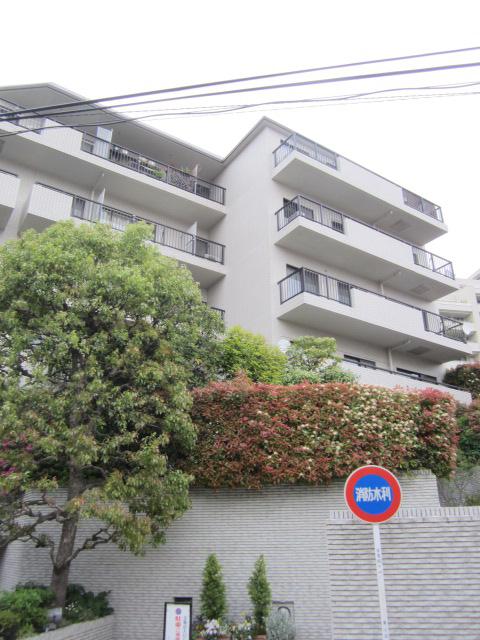 Local appearance photo. Local (10 May 2013) Shooting