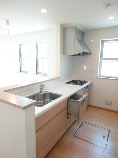 Same specifications photo (kitchen). Kitchen specification with a built-in dishwasher