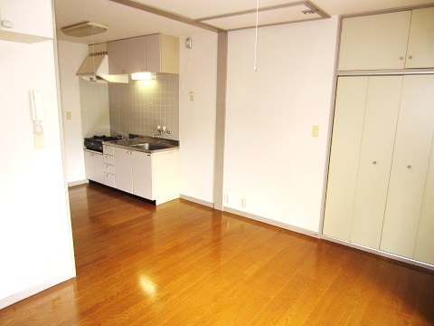 Living and room. Sunny room