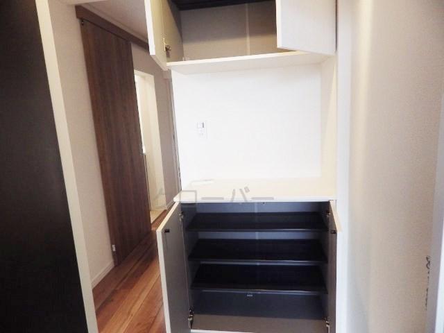 Entrance. Footwear purse