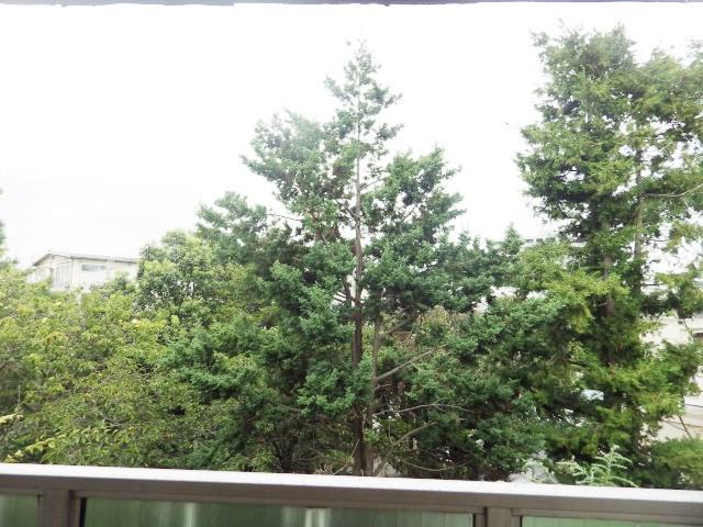 Local appearance photo. View of the northeast side