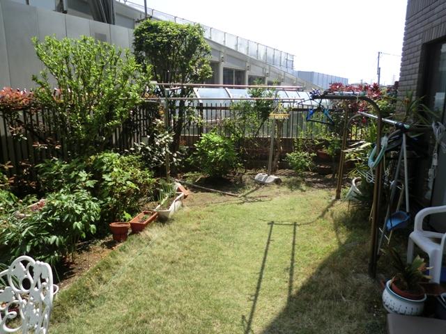 Garden. Local (April 2013) Shooting