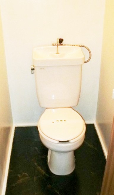Toilet. Toilet