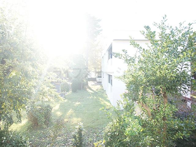 View photos from the dwelling unit. Local (November 19, 2013) Shooting