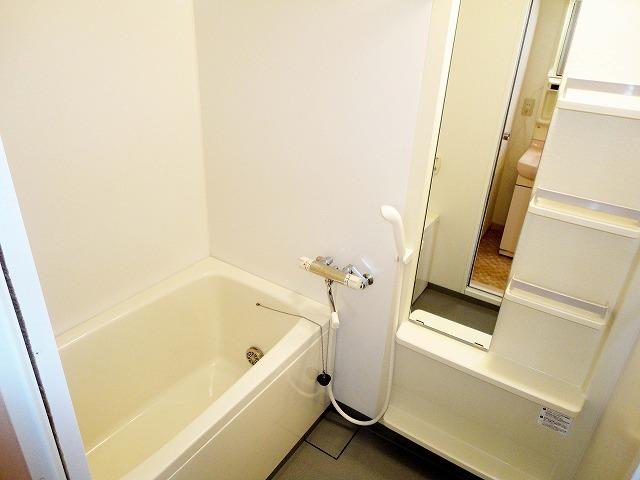 Bathroom. Indoor (October 2010) Shooting