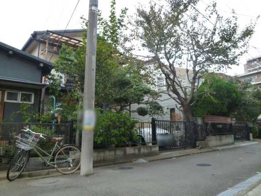 Local land photo. appearance