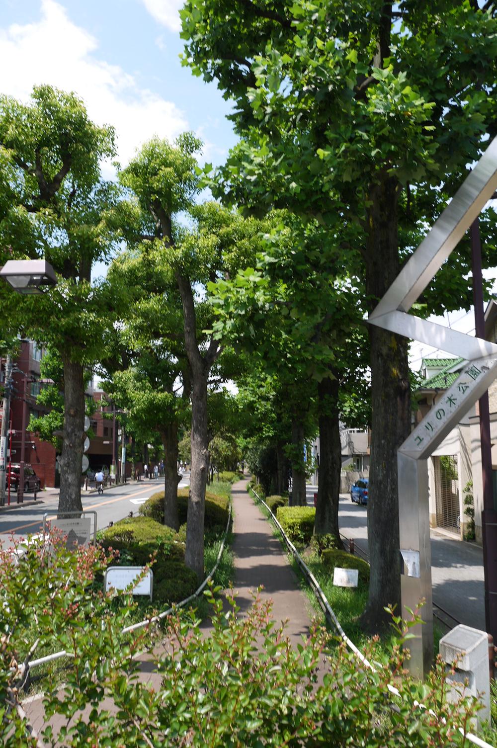 Other local. Local (July 2013) shooting eyes in front of the road (