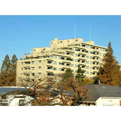 Local appearance photo. Mansion appearance