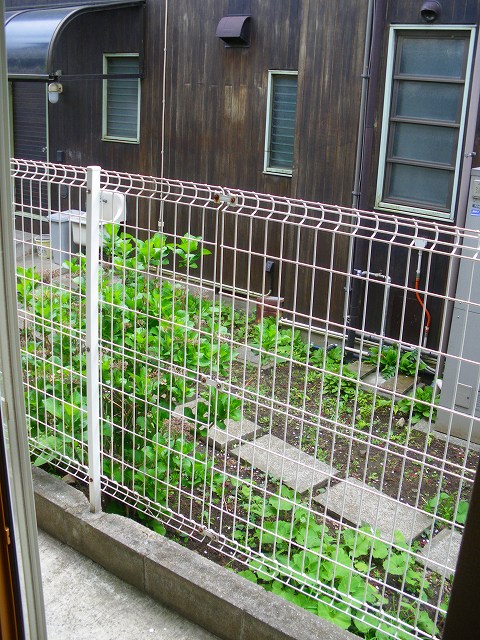 Balcony. It is sunny on the first floor