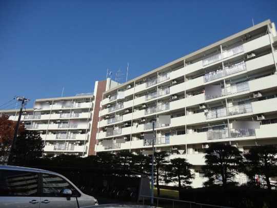 Local appearance photo. Appearance: 2013 November shooting