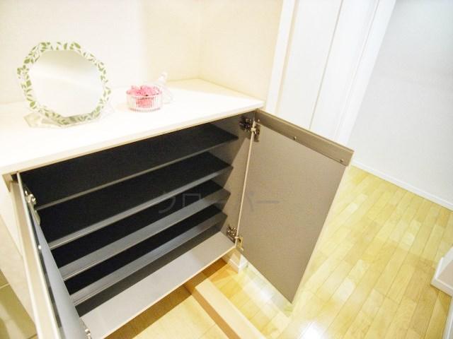 Other introspection. Shoe box