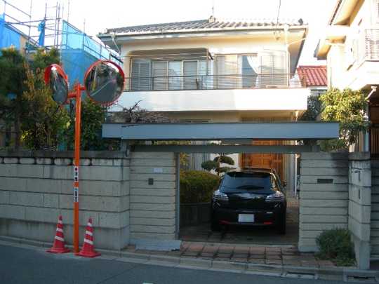 Local land photo. Appearance (1)