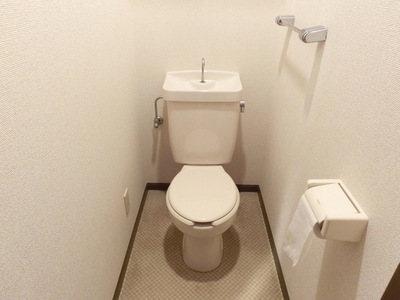 Toilet. There is also housed in the toilet top