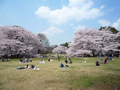 park. Until Kinutakoen 3500m