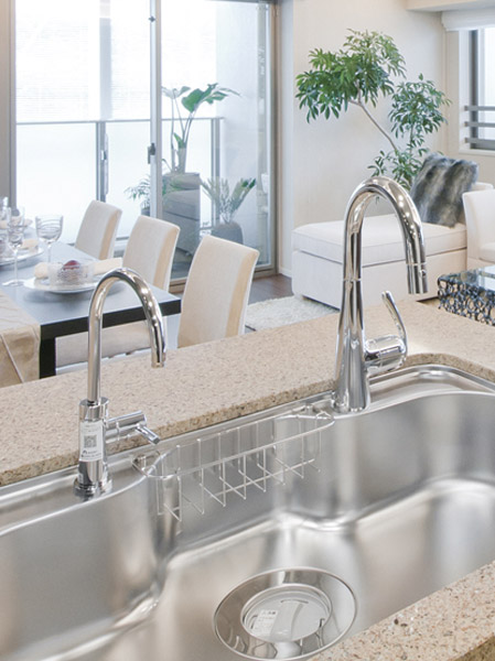 Disposer to suppress the odor and ground processing the garbage, Standard equipped with Grohe Co. faucet of sophisticated form