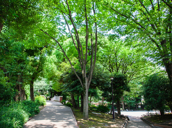 Surrounding environment. Osan River green road (about 240m from the local Sakura Garden ・ 3-minute walk / About 170m from local maple Garden ・ A 3-minute walk)