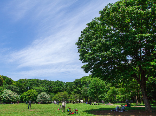 Surrounding environment. Kinutakoen (about 2700m from the local Sakura Garden ・ Walk 34 minutes / About 2700m from local maple Garden ・ 34 minutes walk)