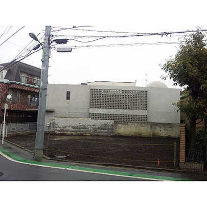 Local land photo. photo1