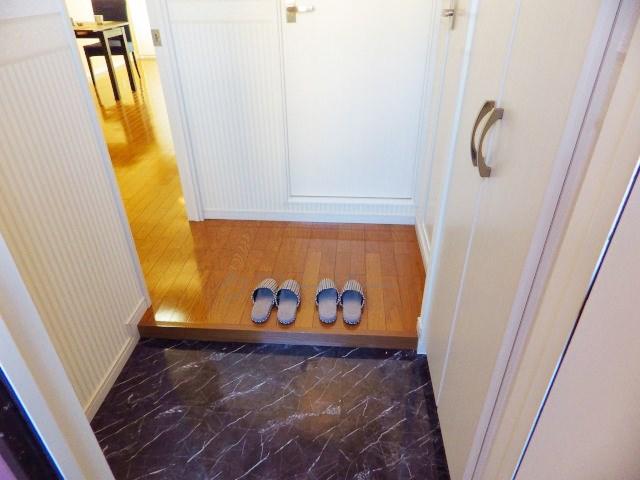 Entrance. Footwear purse