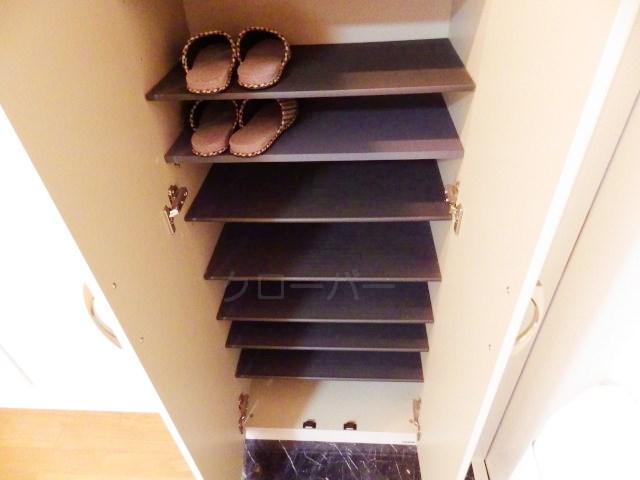 Wash basin, toilet. Footwear purse