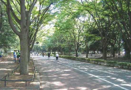 park. 800m to Komazawa Olympic Park