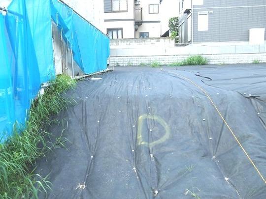 Local land photo. Local Photos