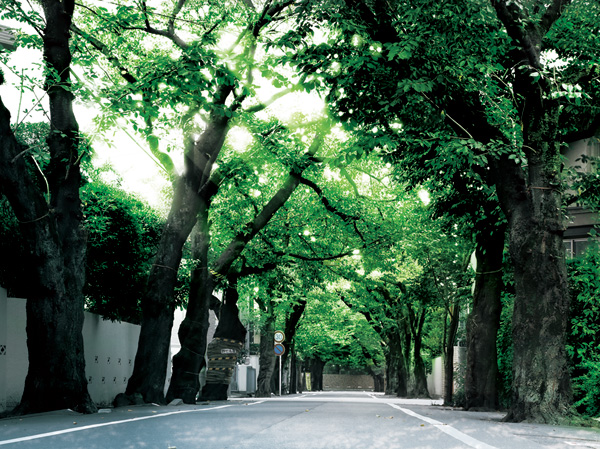 Surrounding environment. Rib street spread from "Kamikitazawa" station (10 minutes walk ・ About 750m)