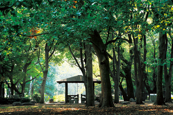 Roka Hisashiharuen (13 mins ・ About 1030m)