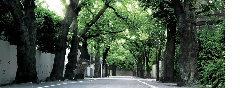 Rib Street (about 750m ・ A 10-minute walk)