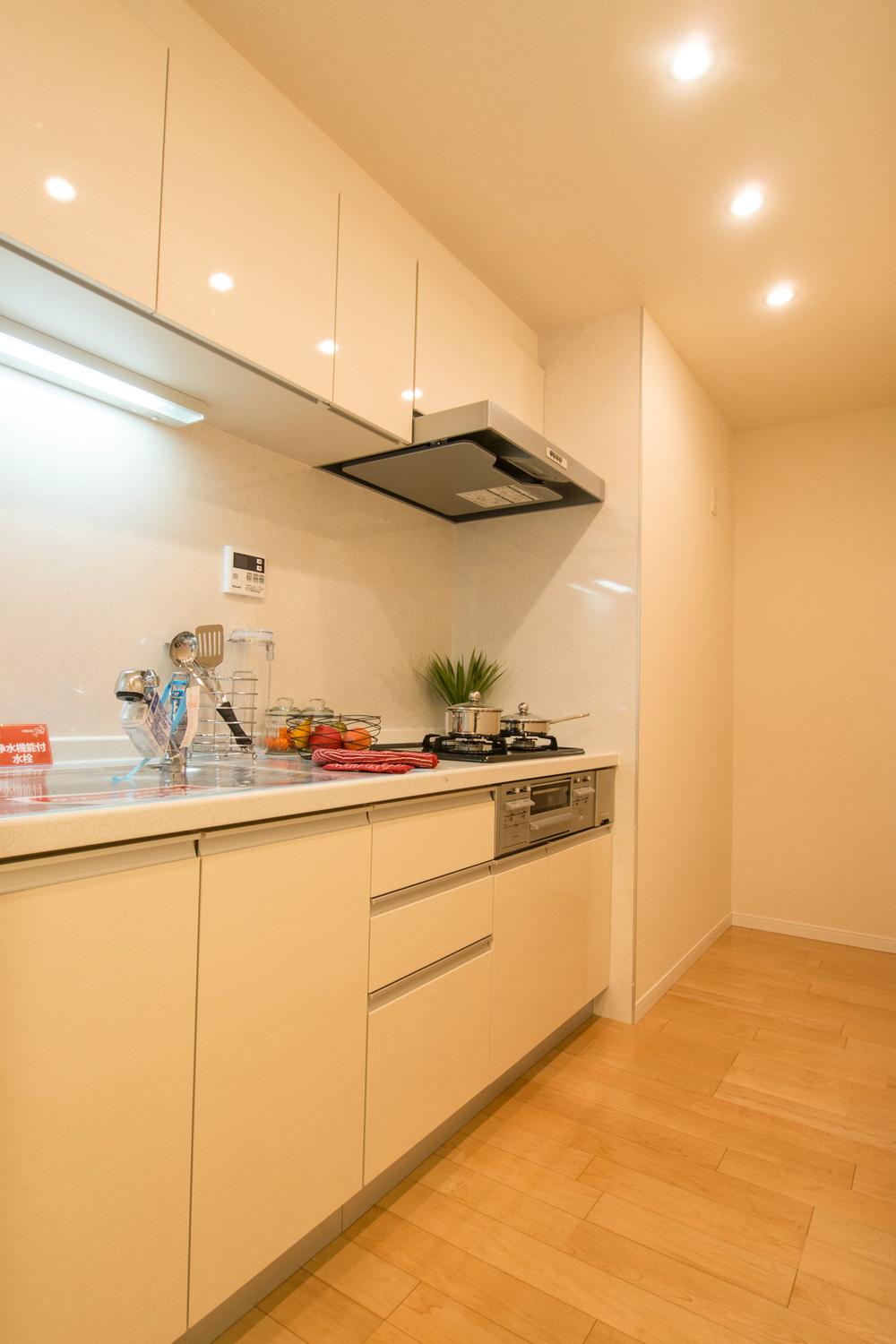 Kitchen. Indoor (11 May 2013) Shooting