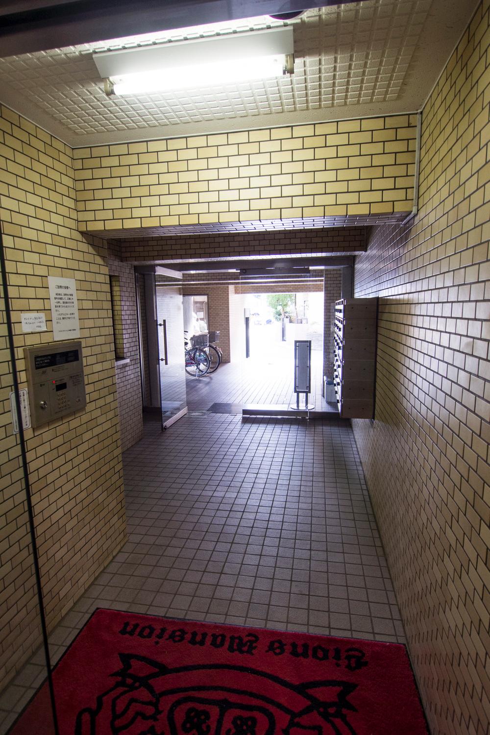 Entrance. Common areas