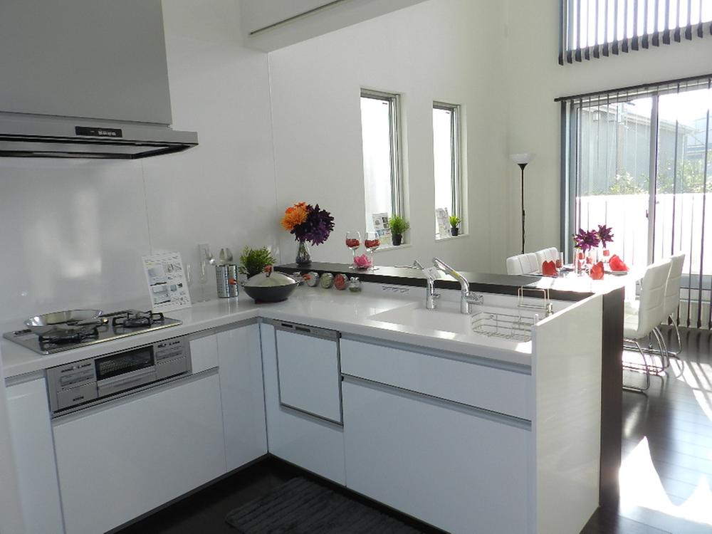 Kitchen. Indoor (12 May 2013) Shooting