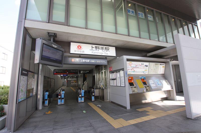 Other. Kaminoge Station