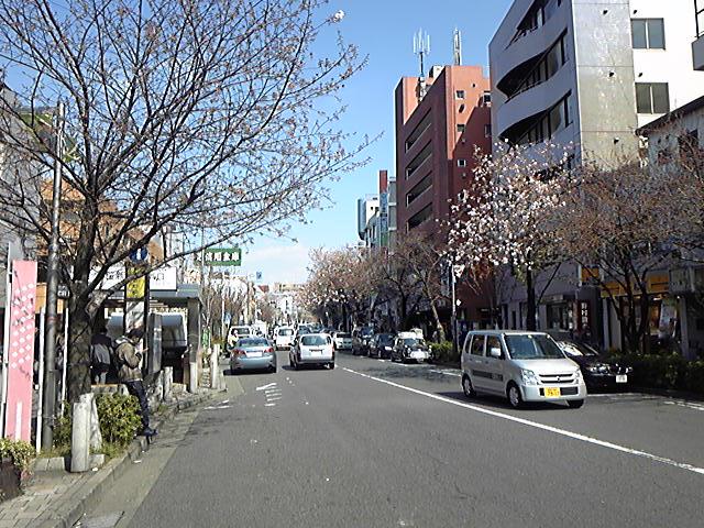 Other. Sakurashinmachi Station